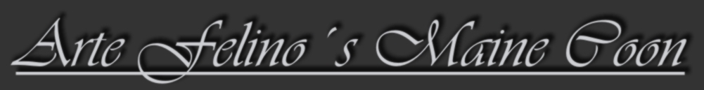 Arte Felino�s Banner