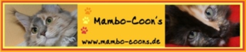 Mambo Coons banner